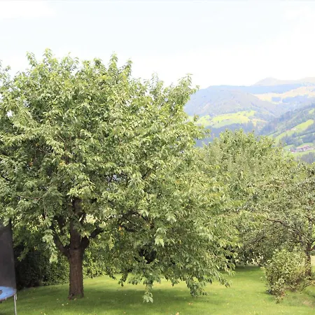 Roemerhof-3 By Interhome Appartamento Fügen